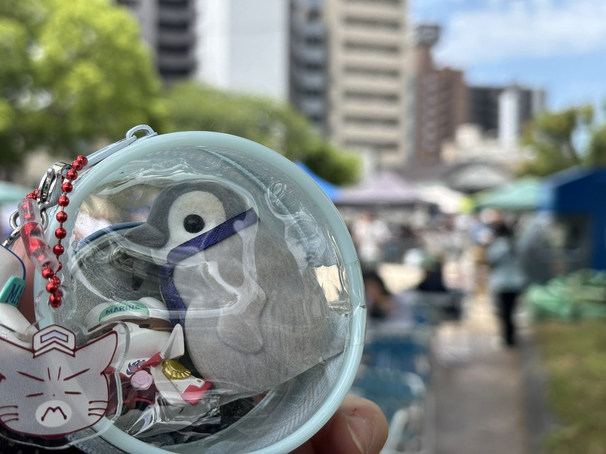 ほ🐧 tweet media