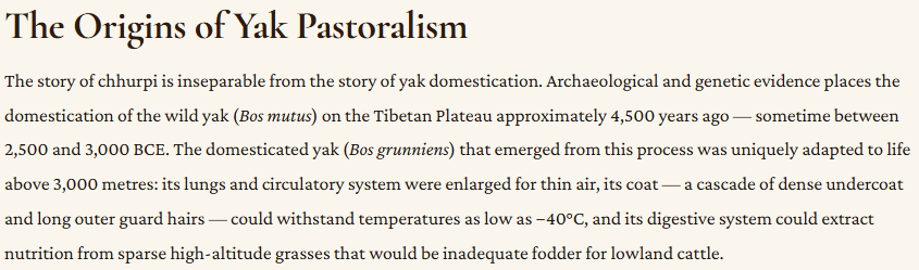Chhurpi_Org's tweet photo. The Origins of Yak Pastoralism
The story of #chhurpi is inseparable from the story of yak domestication. Archaeological and genetic evidence places the domestication of the wild yak on the #Tibetan Plateau approximately 4,500 years ago #Yak #himalayanculture #churpi https://t.co/z0Y8jfJY1R