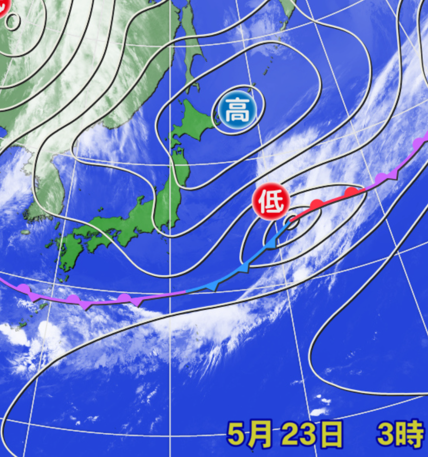走る人参(気象予報士) tweet media