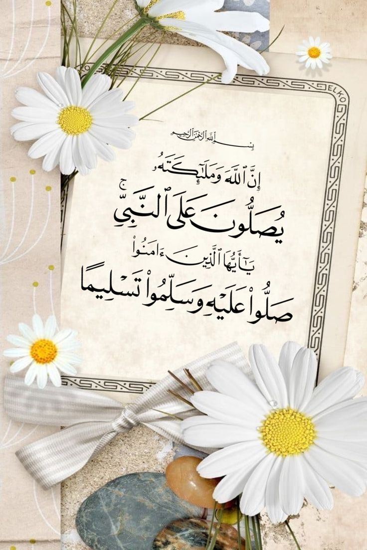 زهرة الكادي tweet media