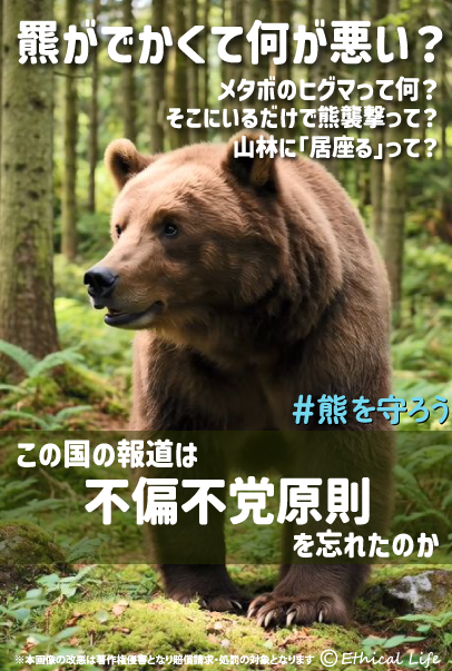 Ethical Life tweet media