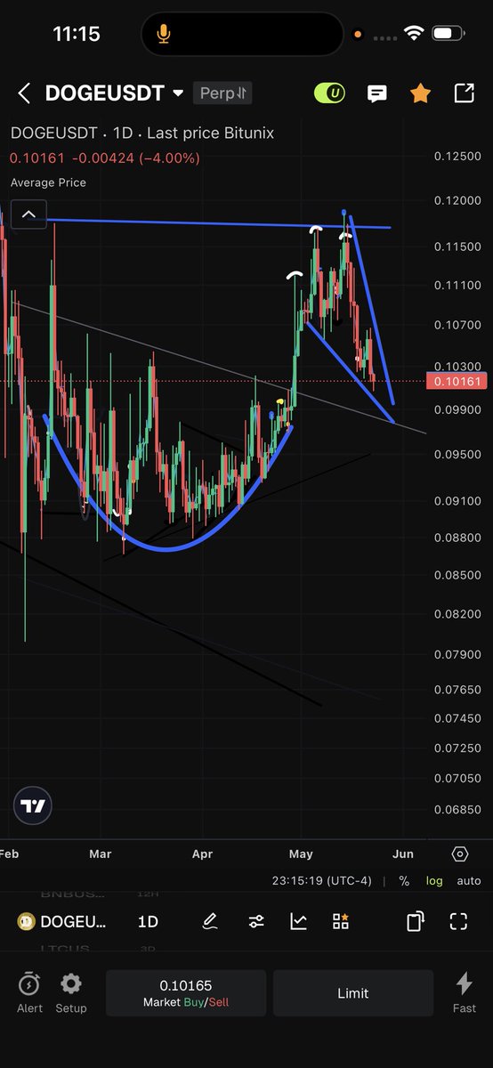 BigBlueNation85's tweet photo. If you having in doubts about your bag or are even close to being shaking out just remember this guy is seeing exactly what I called nearly 2 weeks ago.  I’m convinced #Dogecoin is about to make a 50% move to .155. This is the handle shakeout we called I know it’s tough to watch that’s why I said go fishing for a few days lol but really try to not pay the charts to much attention here and let it run its course.