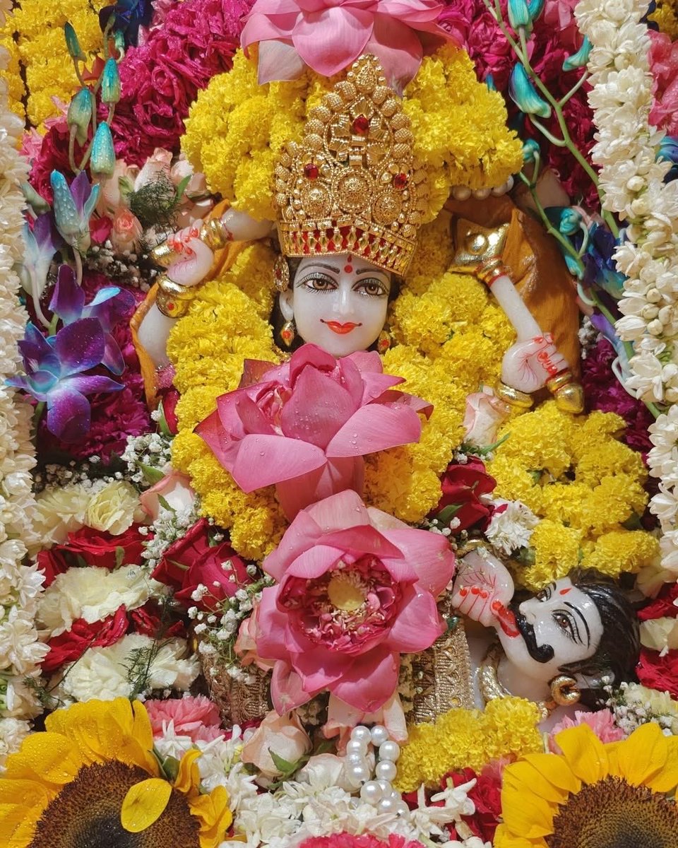 Maa BaglaMukhi Mandir tweet media