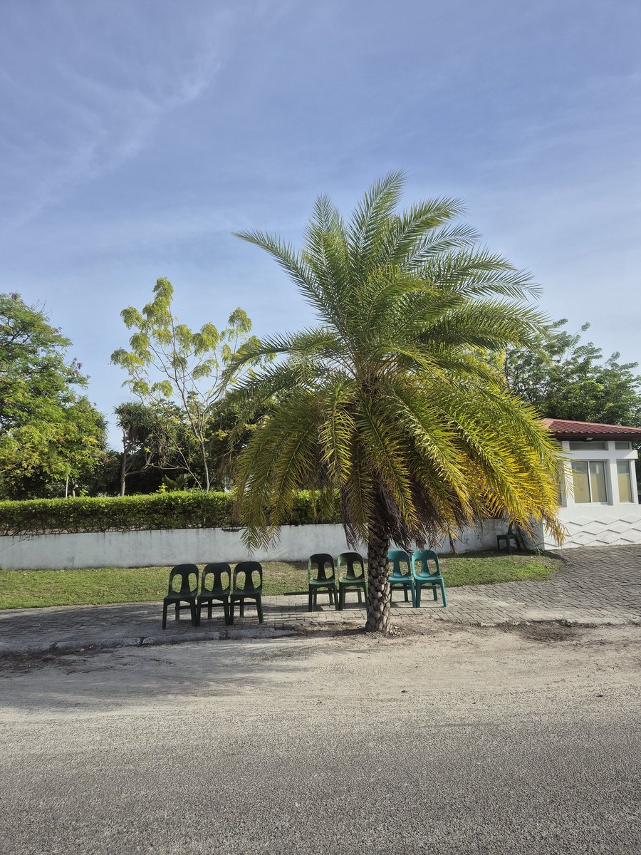 gellifarisgone's tweet photo. Day 763818 of asking @DhekunuNizar @AdduCityCouncil @geelaali @MMuizzu @MTCCPlc to put a shelter at Addu Equatorial HOSPITAL bus stop https://t.co/t7GOia5j9U
