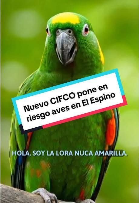njavier_93's tweet photo. @nayibbukele @nuevasideas @MedioAmbienteSV @AsambleaSV

@alertux @ITROriginal @EnLaMiraNoti_SV https://t.co/eAfiE6XTqP