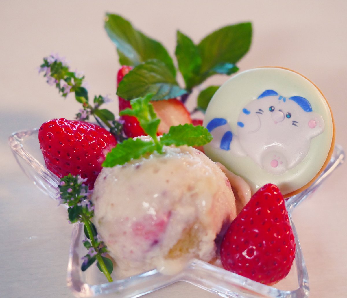 chikuwamiel's tweet photo. #ねこのわ クッキング🍽️

ねこのわ特製アイシングクッキーに
手作りのバナナいちごミルクアイスクリーム、ベランダ菜園のスペアミント、レモンタイムを添えた爽やかなデザートです🍨 https://t.co/5PSPu1lfEb