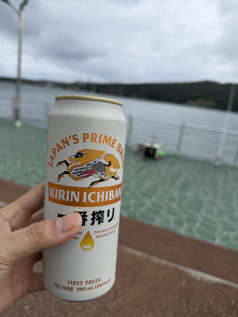 해피쿠마 tweet media