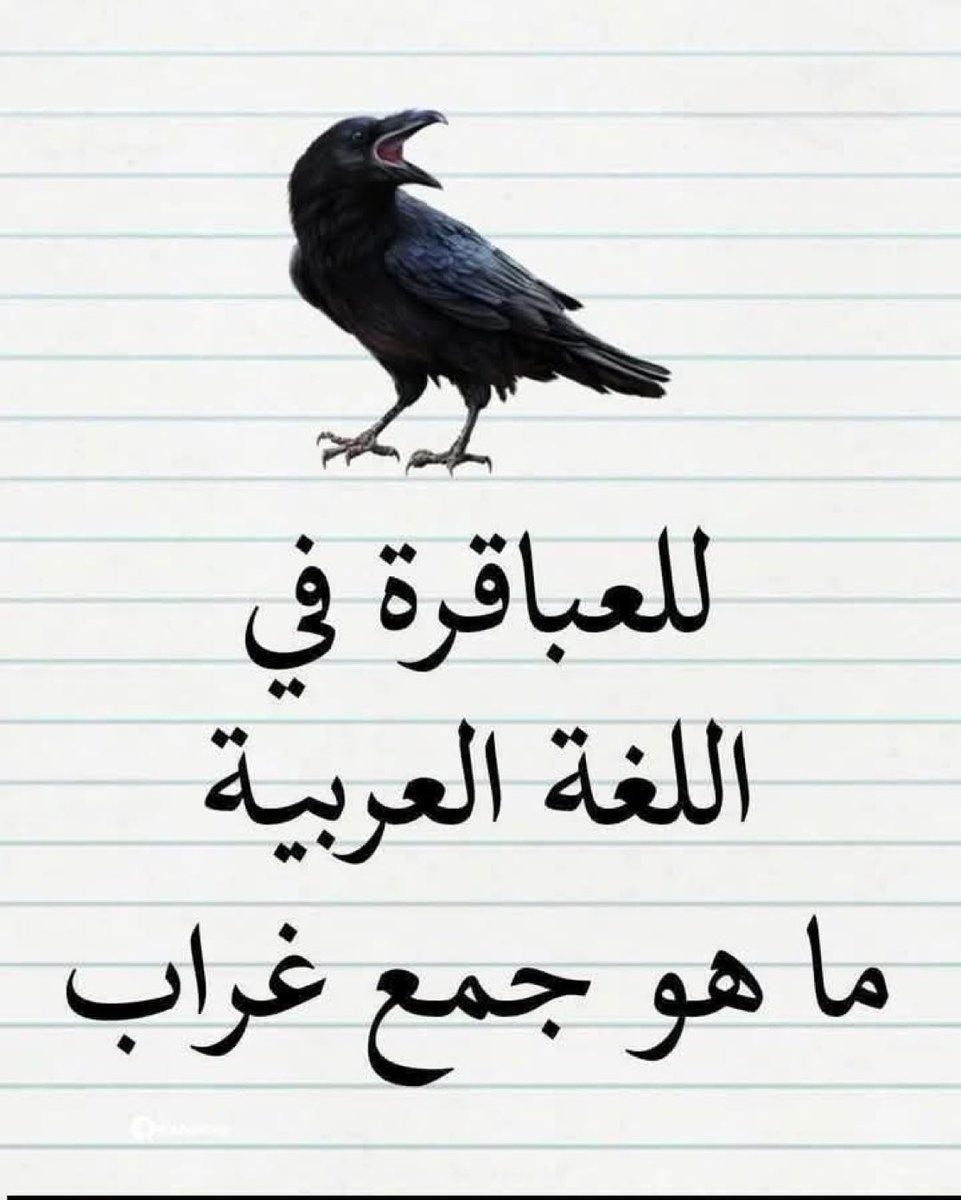 الانجليزية ببساطه tweet media