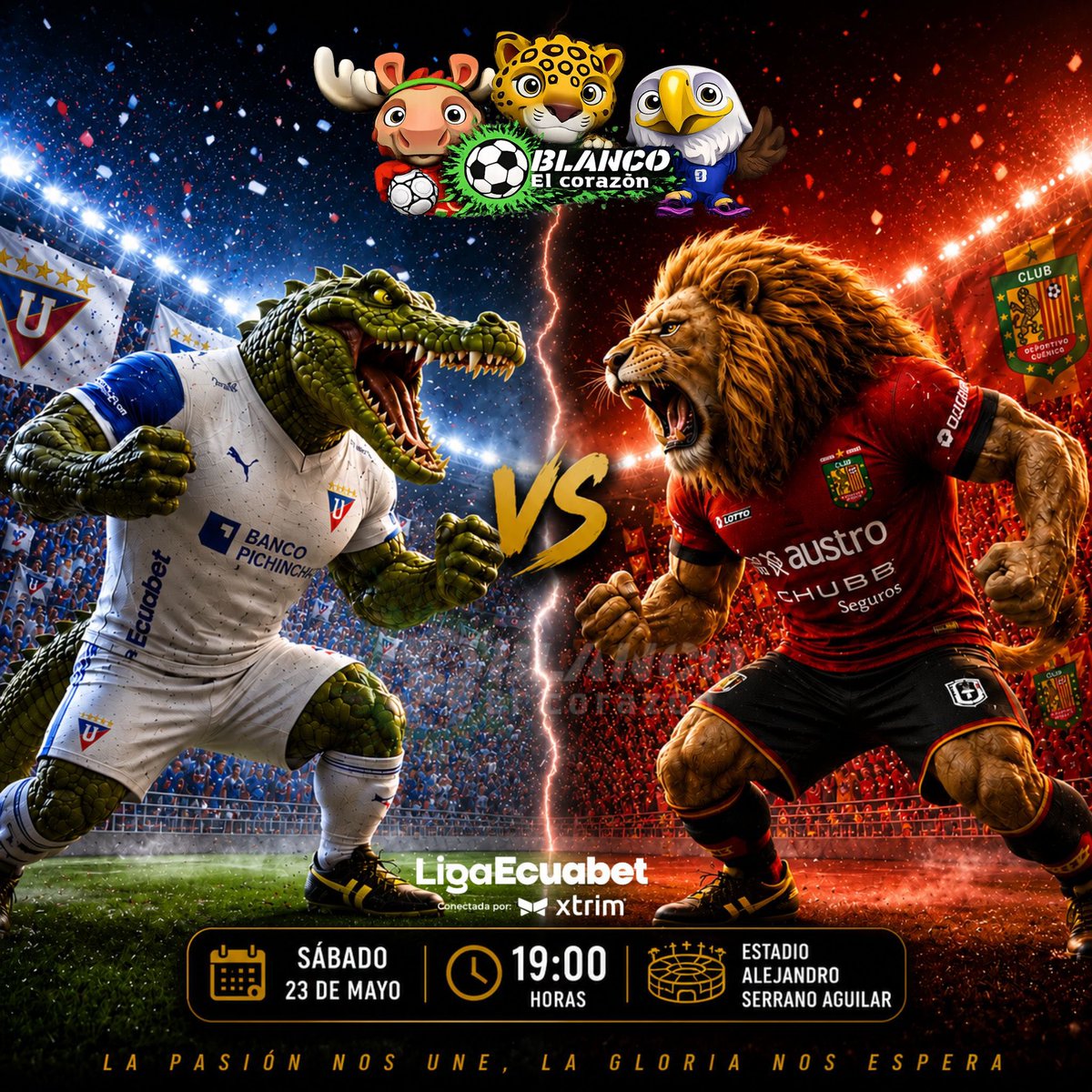blanco_ecuador's tweet photo. El siguiente partido de @LDU_Oficial es este sábado en Cuenca 🔛🫡

Los Albos se enfrentan al Deportivo Cuenca por 🏆 #LigaEcuabetConectadaPorXtrim 💪

🆚 #DepCuencaLIGA 
🏟️ Alejandro Serrano Aguilar | 19h00 https://t.co/LGq6ihewOA