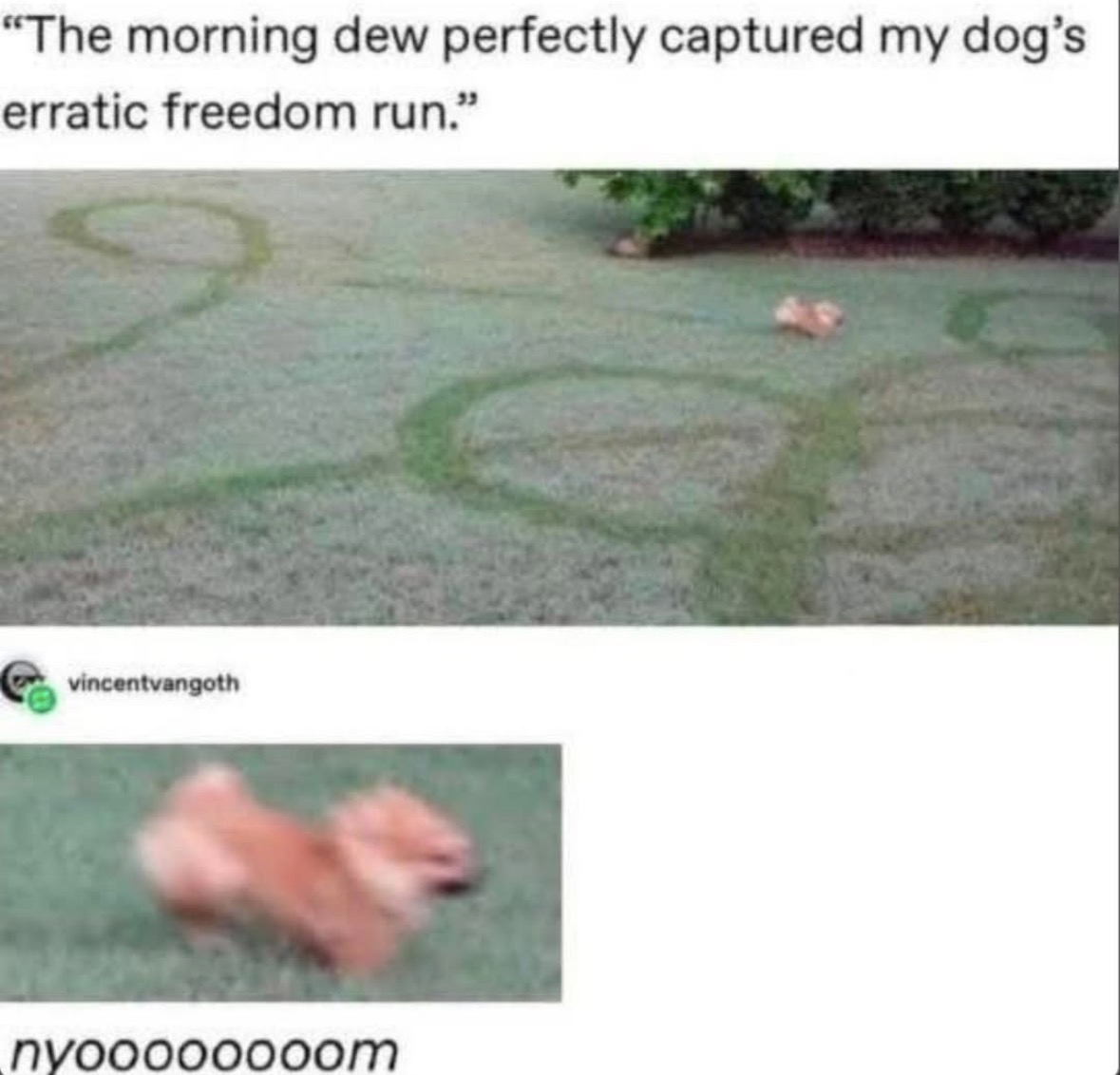 Respectful Memes tweet media