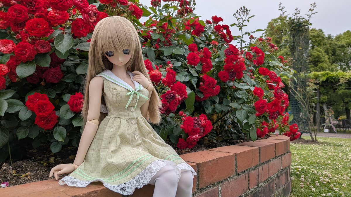 Tka＠レッツフォトなので tweet media