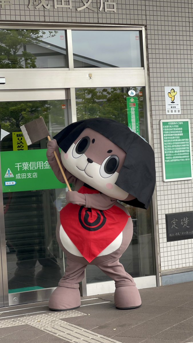 meg🐱ÒㅅÓ。)ノにほんめぐうそ🌎 tweet media