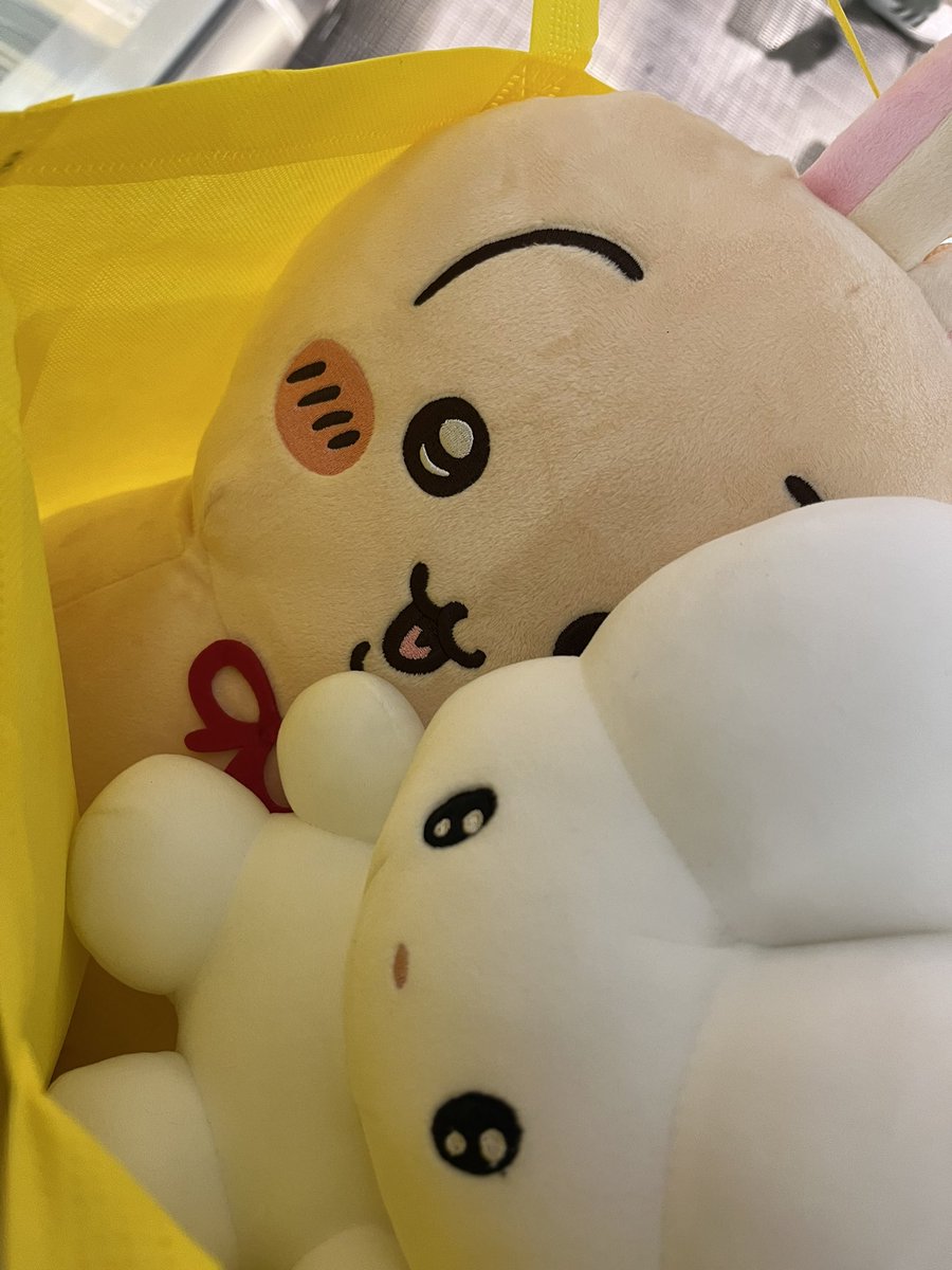 beco+81 (@beco_plus81) / Posts / X