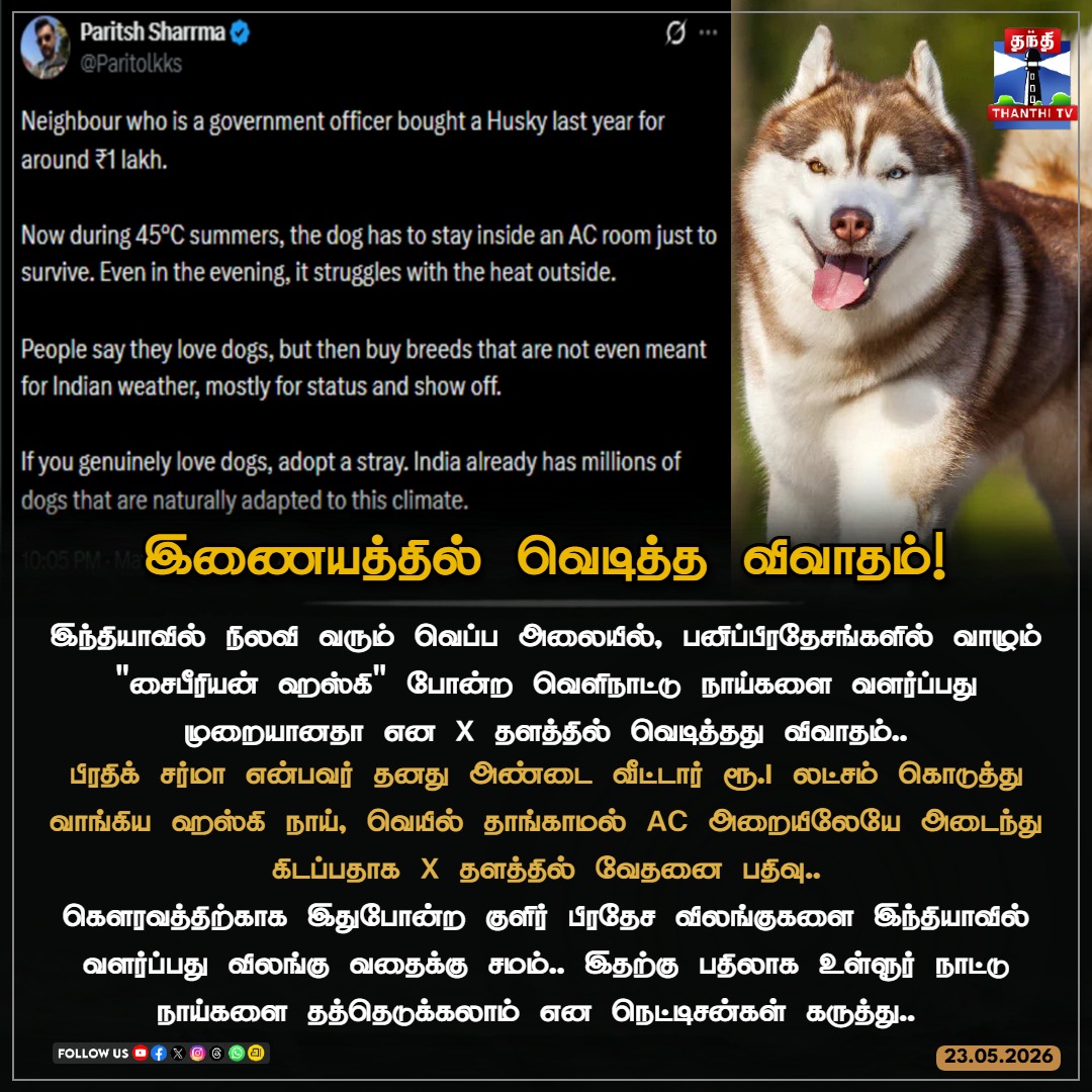 ThanthiTV's tweet photo. இந்தியாவின் கடும் கோடையில் வெளிநாட்டு நாய் வளர்ப்புக்கு எதிராக வெடிக்கும் எதிர்ப்பு!

#SiberianHusky #AnimalWelfare #ExoticPetsDebate #AdoptIndieDogs #IndianSummer #ThanthiTV https://t.co/NsMlA3JnFJ