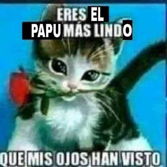 lobotomizadoo's tweet photo. se lo dediko a todos mis mutisdeidades q m interactúan https://t.co/yOaQM9VMEq