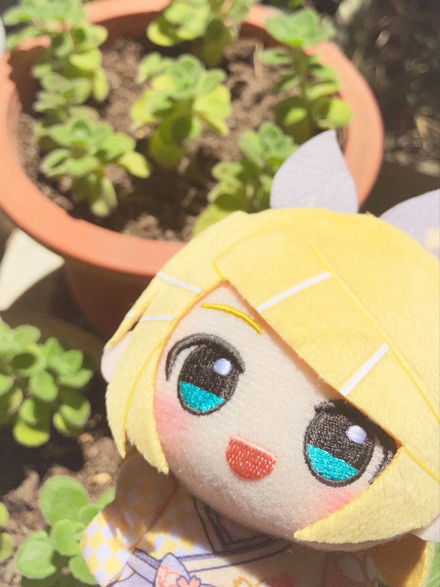 shiro (@shiroro69) / Posts / X