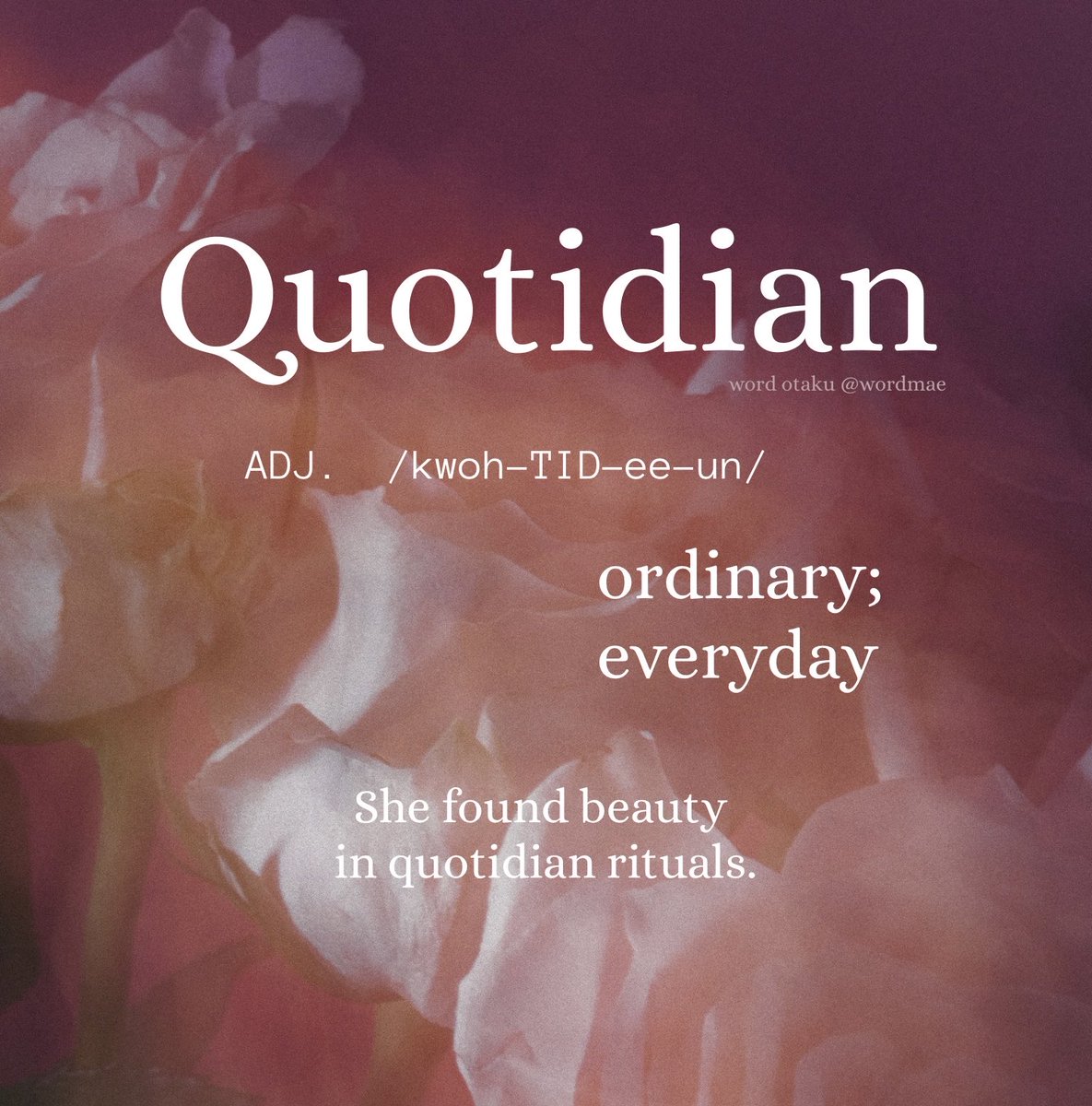 wordmae's tweet photo. quotidian (adj.) https://t.co/GHyxIasXVy