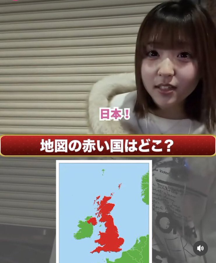ネットのホンモノ図鑑 tweet media