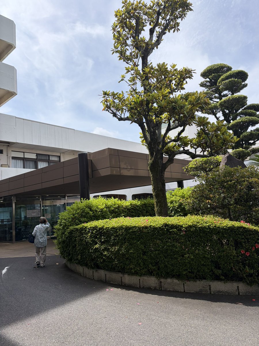 ライスシャワー tweet media