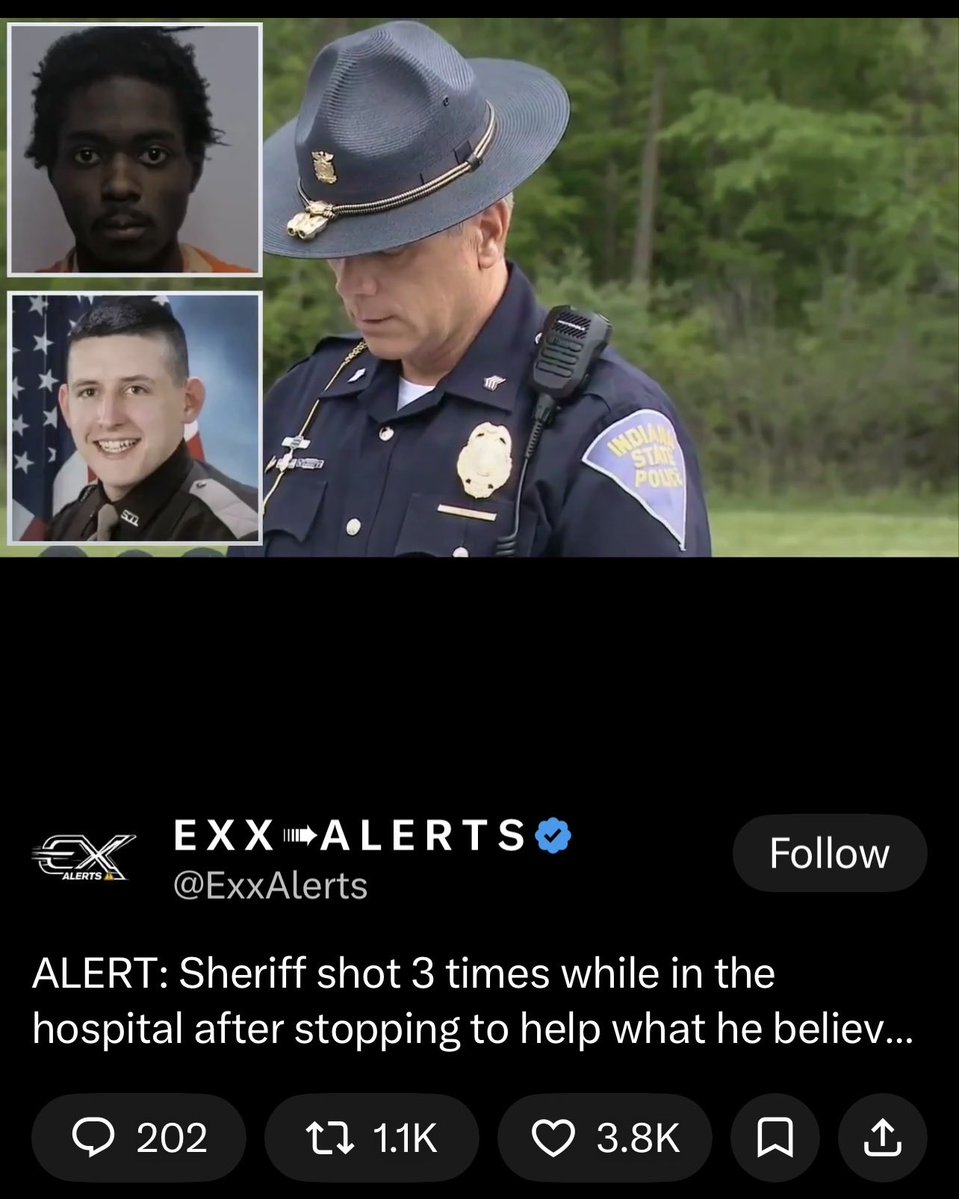 Ryan tweet media
