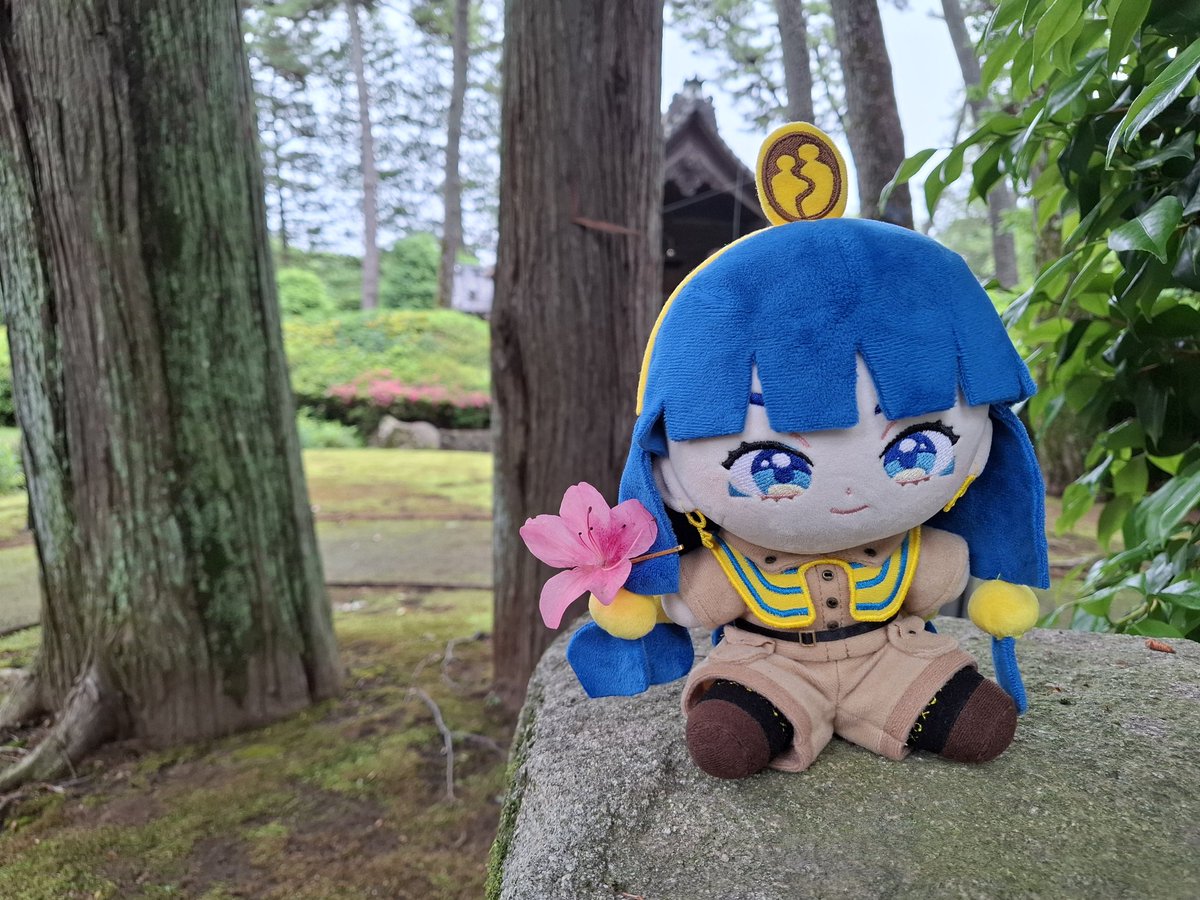 KarascaTH's tweet photo. 馴子かわいい🌺😌 https://t.co/nbIPhw8OgX