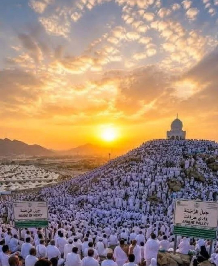💞✨فطوووووومه🌟💞 tweet media