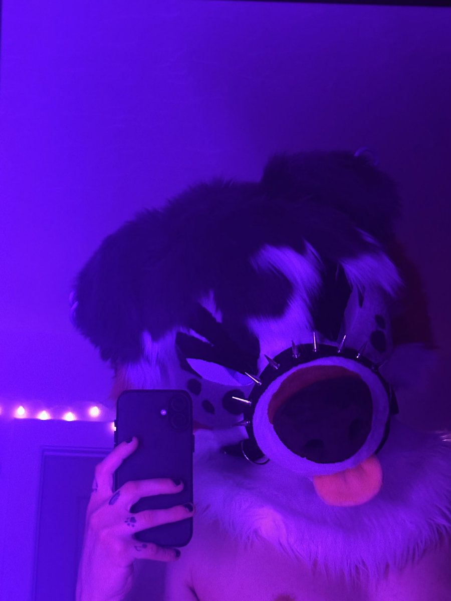 salivatingteeth's tweet photo. bleeeeeeep

#FursuitFriday https://t.co/ibD6p0c86K