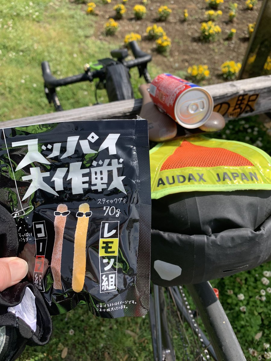 バーニー tweet media