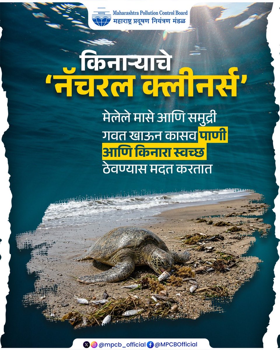 Maharashtra Pollution Control Board tweet media