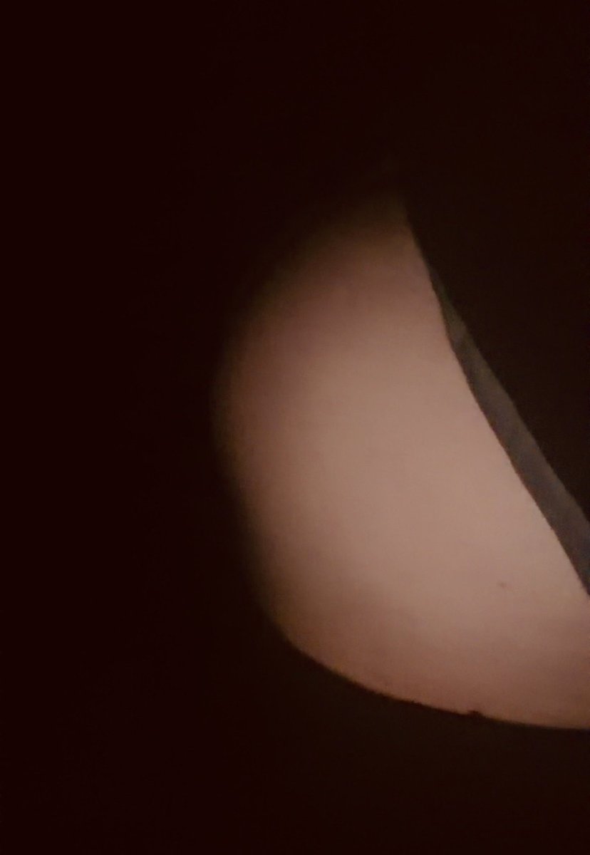 thicccbottomm's tweet photo. dms are open.. hmu baby https://t.co/3k5DzvKOuA