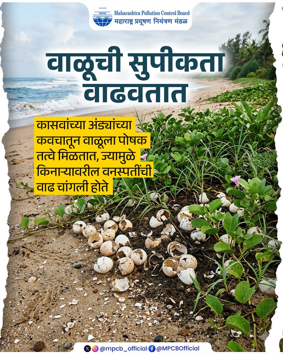 Maharashtra Pollution Control Board tweet media