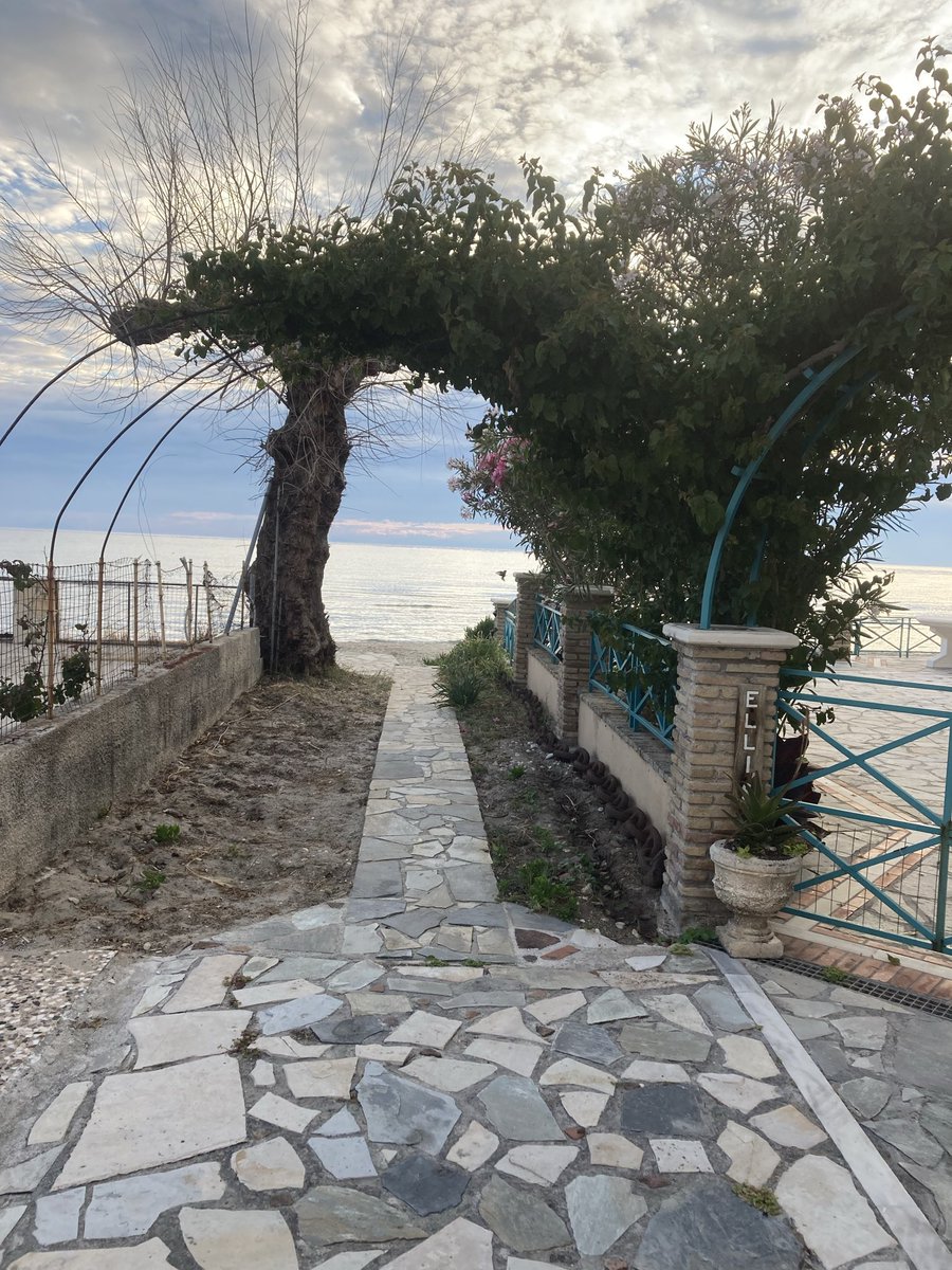 Maxerina's tweet photo. Good morning 🌅 from zakynthos 🫶🏻 https://t.co/J6IR0JEoHK