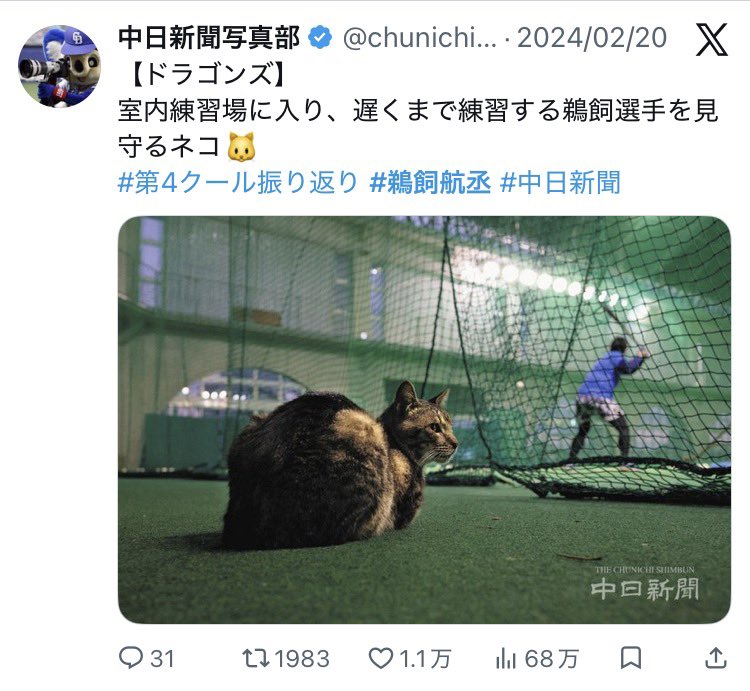 星野魔王 tweet media