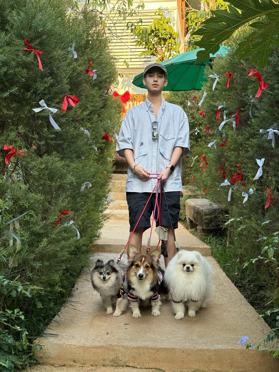 SingChimonFans's tweet photo. Another day, another Chimon dog update and we’re loving every second of it 🐶

#ChimonWachirawit 
#SingChimon
Source: pet.carsxr (via Instagram) https://t.co/2WoJUU641l