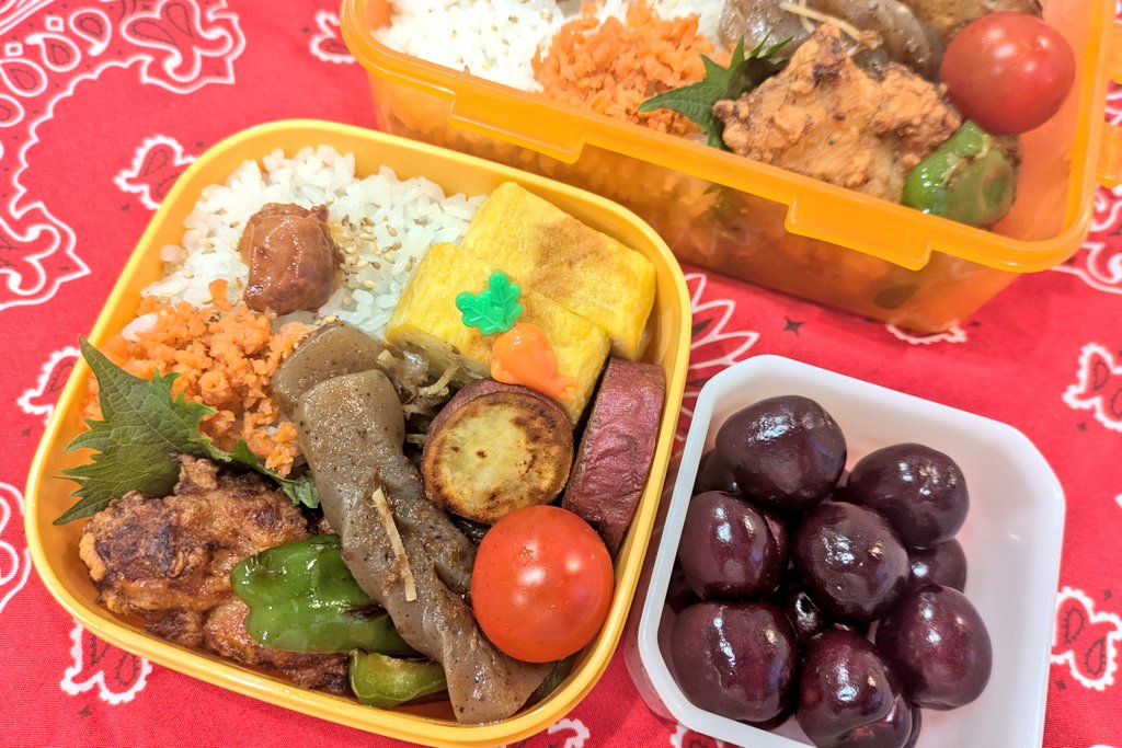 hanako_ouc's tweet photo. 長女のお弁当。今週は2回お弁当作ったけど、中間テスト期間なので作らなくていいよ(帰ってから自分で適当に作るから)とのこと。ありがたや〜
関係ないけど昨夜、次女と2人で本気の脚トレしたら、今になって筋肉痛に襲われてて⋯もう何もやる気がおきまへん。 https://t.co/W6O2J54Qty