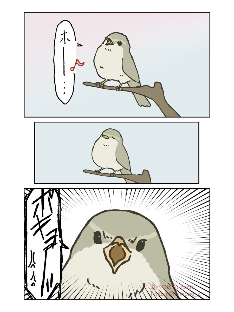 遊ハち tweet media