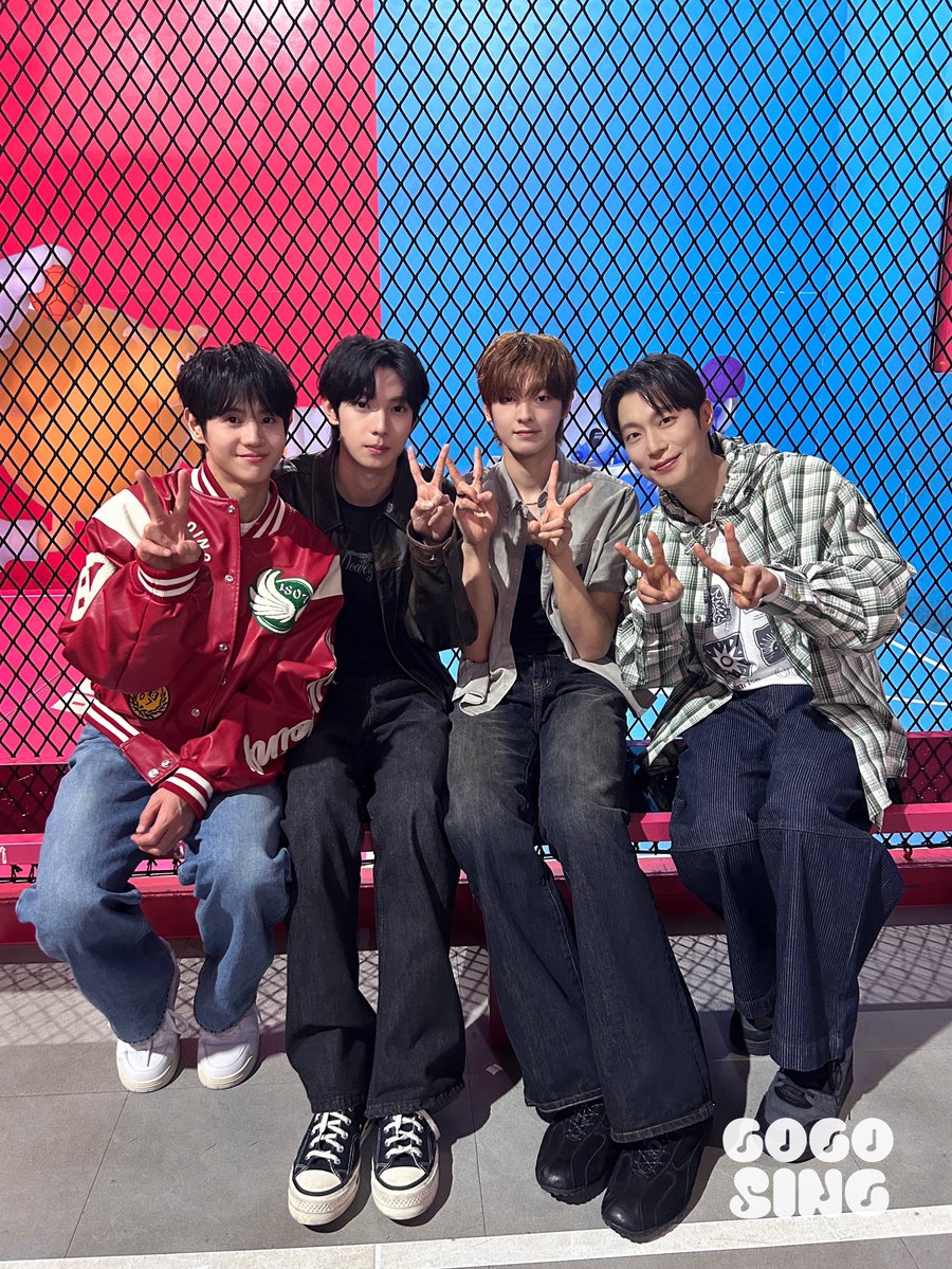고고씽 GOGOSING tweet media
