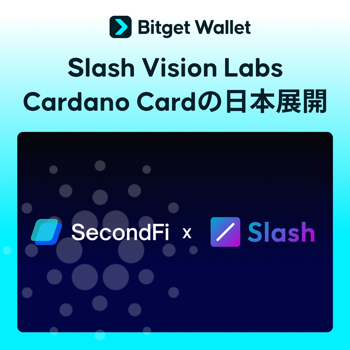 BitgetWallet 日本語公式 tweet media
