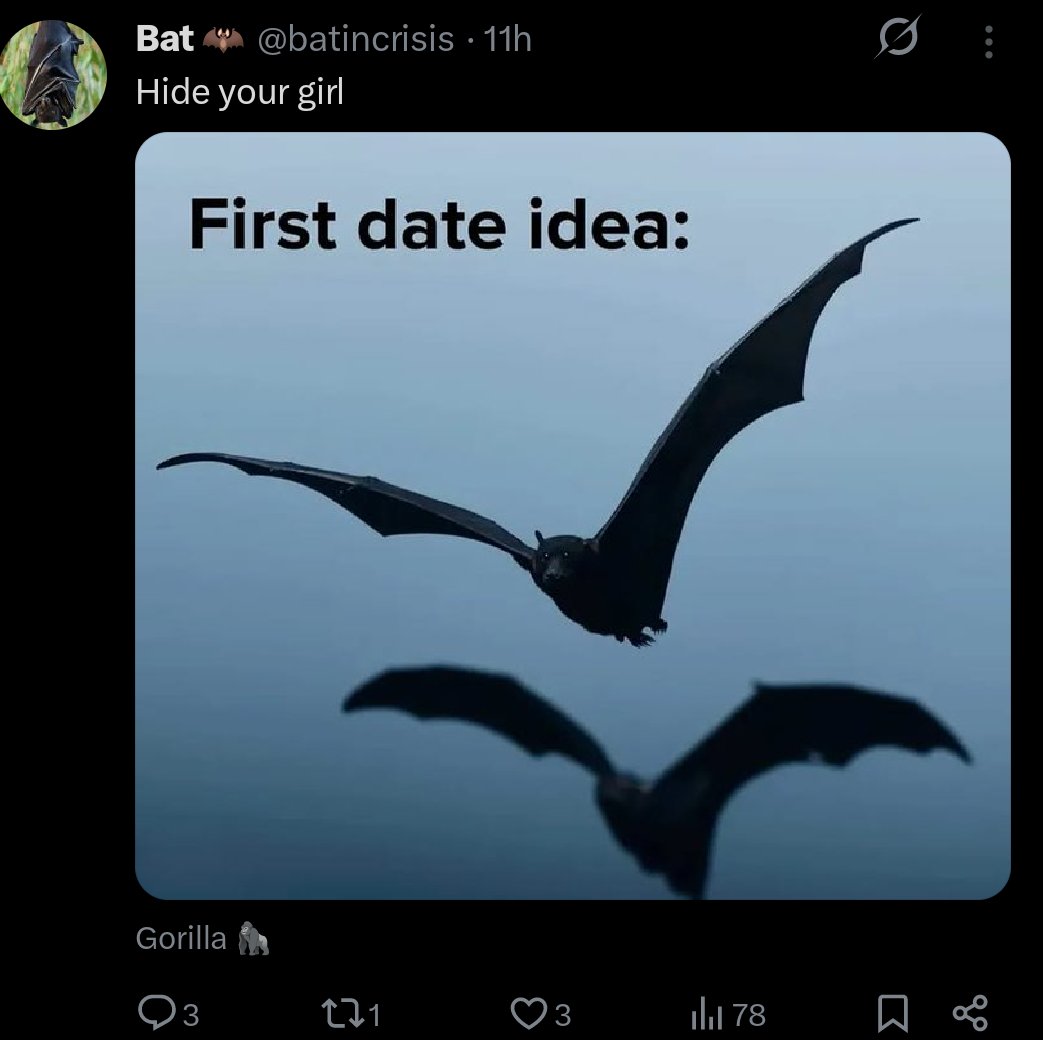 Bat 🦇 tweet media