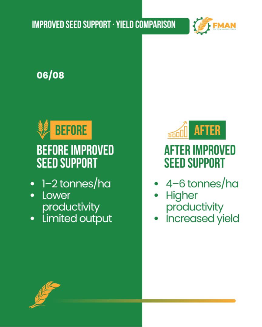 fmanng_'s tweet photo. Nigeria can scale local wheat production and reduce import dependence.

#FMAN #WheatFarming #FoodSecurity #AgricultureNigeria #AgriDevelopment https://t.co/1llis6wzoW