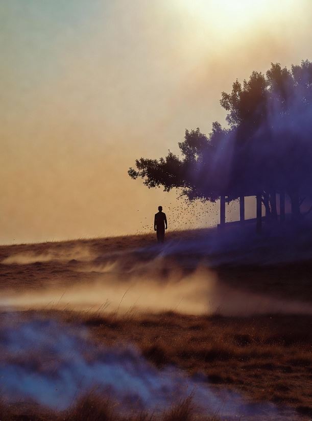 iam_ginghs's tweet photo. summer heat simmers
a #betrayal by the wind—
and shadows console

#vss365  #Haiku https://t.co/ByNCSVUkIC