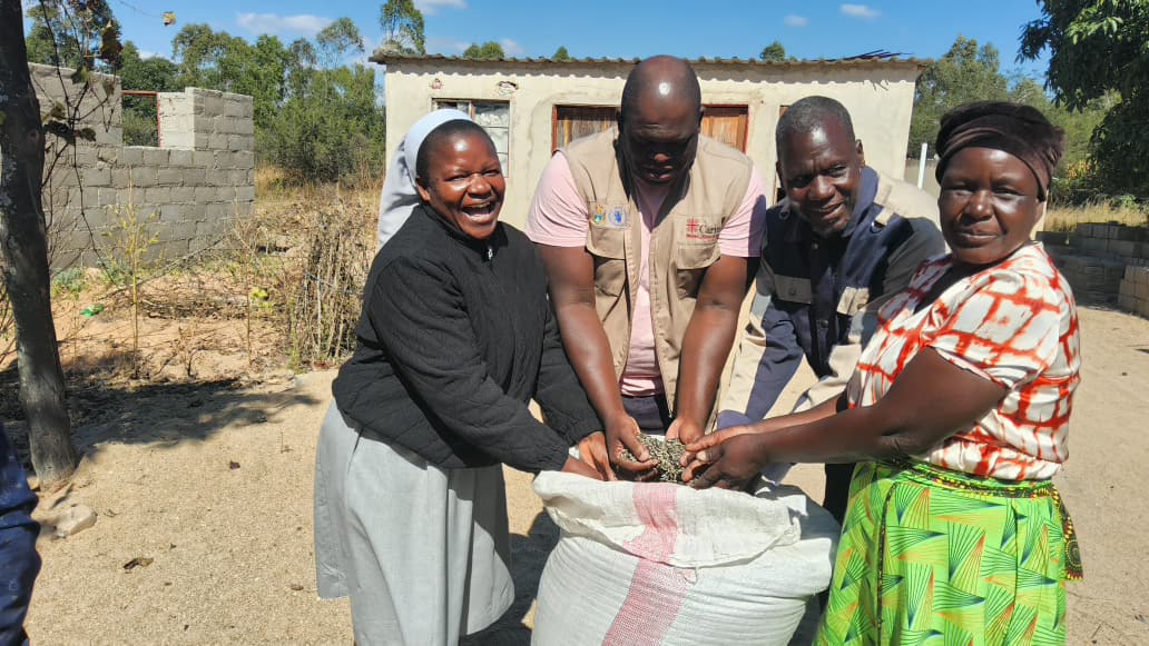 ZCBCSOCCOM24's tweet photo. In the drought-prone areas of Gutu District, Caritas Zimbabwe is helping local farmers diversify into climate-resilient cash crops. Supported  by @CaritasAust  and the Australian Government’s Department of Foreign Affairs and Trade (DFAT).The farmer pictured here harvested 300kg. https://t.co/NS6s8GuRyW