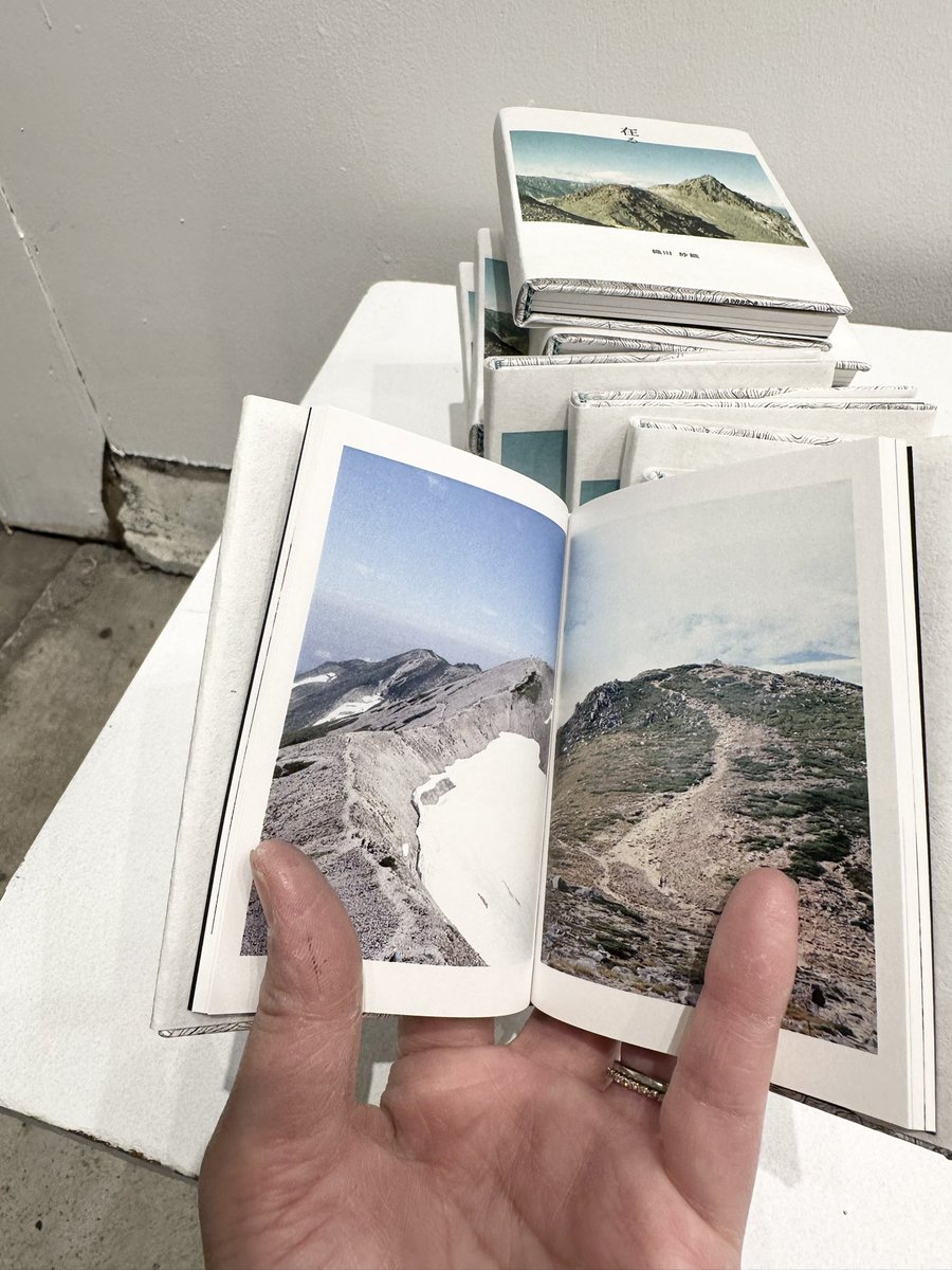 RIRI洋書セット 多様なタイトル 全16冊(写真の図書)10/13まで 昨日の豆本写真集、仕上がった！ 特装版BOXに入れる限定です😊 中身は