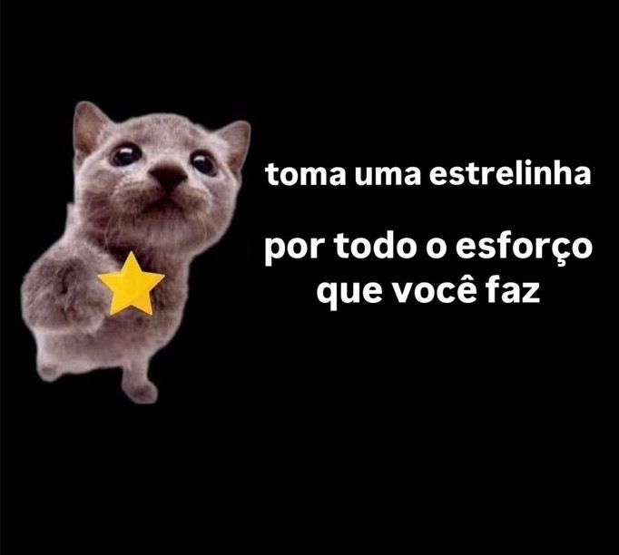 Jon - perfil dedicado a gatinhos e peitos tweet media