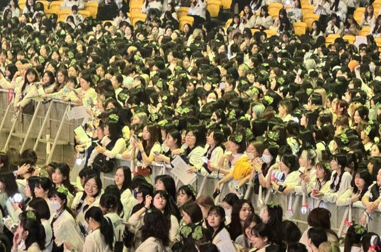 보핍 🌻 tweet media