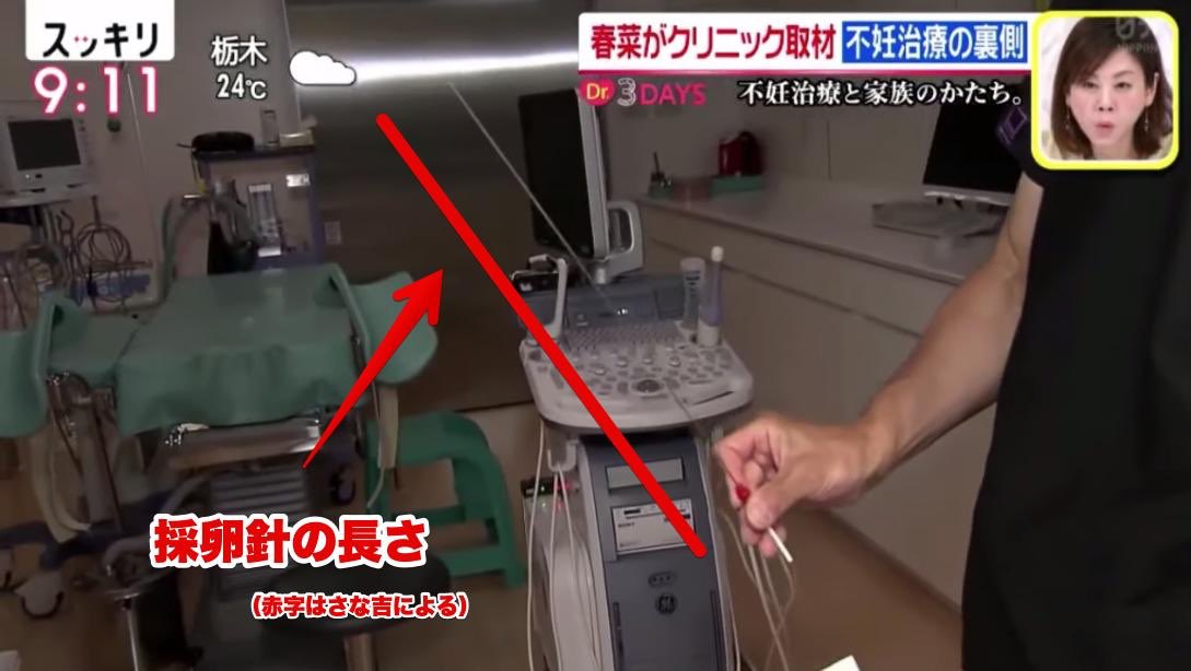 フェミニーナ・懐子 tweet media