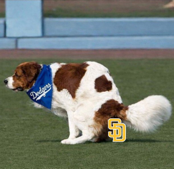 🇺🇦dodgers_burner🇺🇦 tweet media