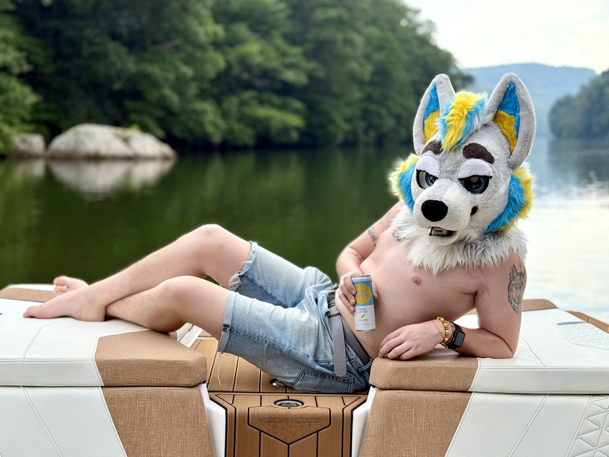 Spark Husky tweet media