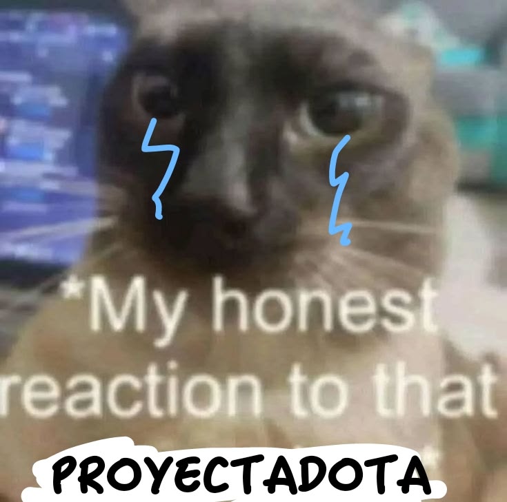 XD tweet media