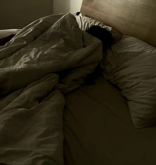 vxlfelix's tweet photo. planned for a slow day… still became an early bird anyway
ᅠ
ᅠ https://t.co/qu1ER19tap